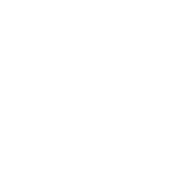 JJsingkerstore